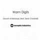 Warm Digits Feat Sarah Cracknell - Growth Of Raindrops