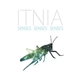 Itnia - Senses Senses Senses